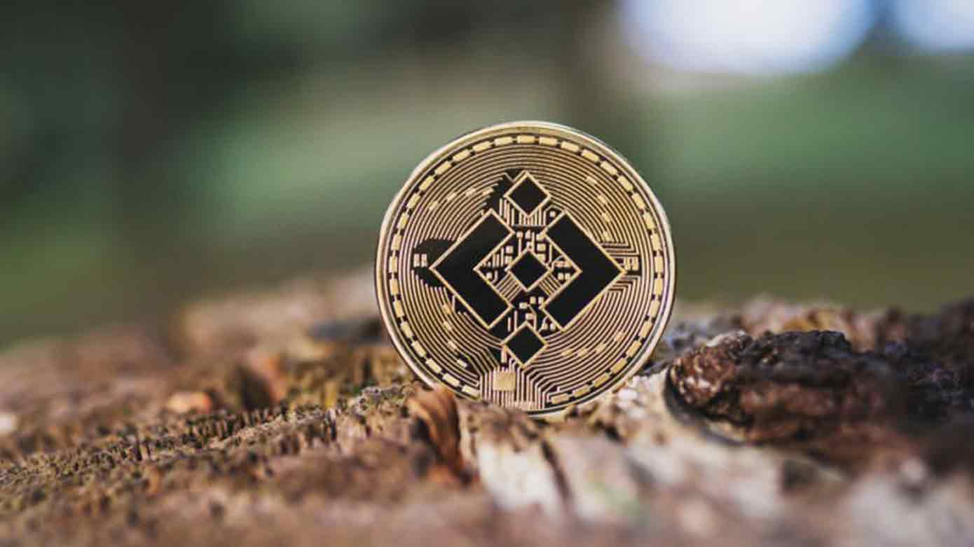 Understanding the Role of Binance Coin in the Cryptocurrency Market